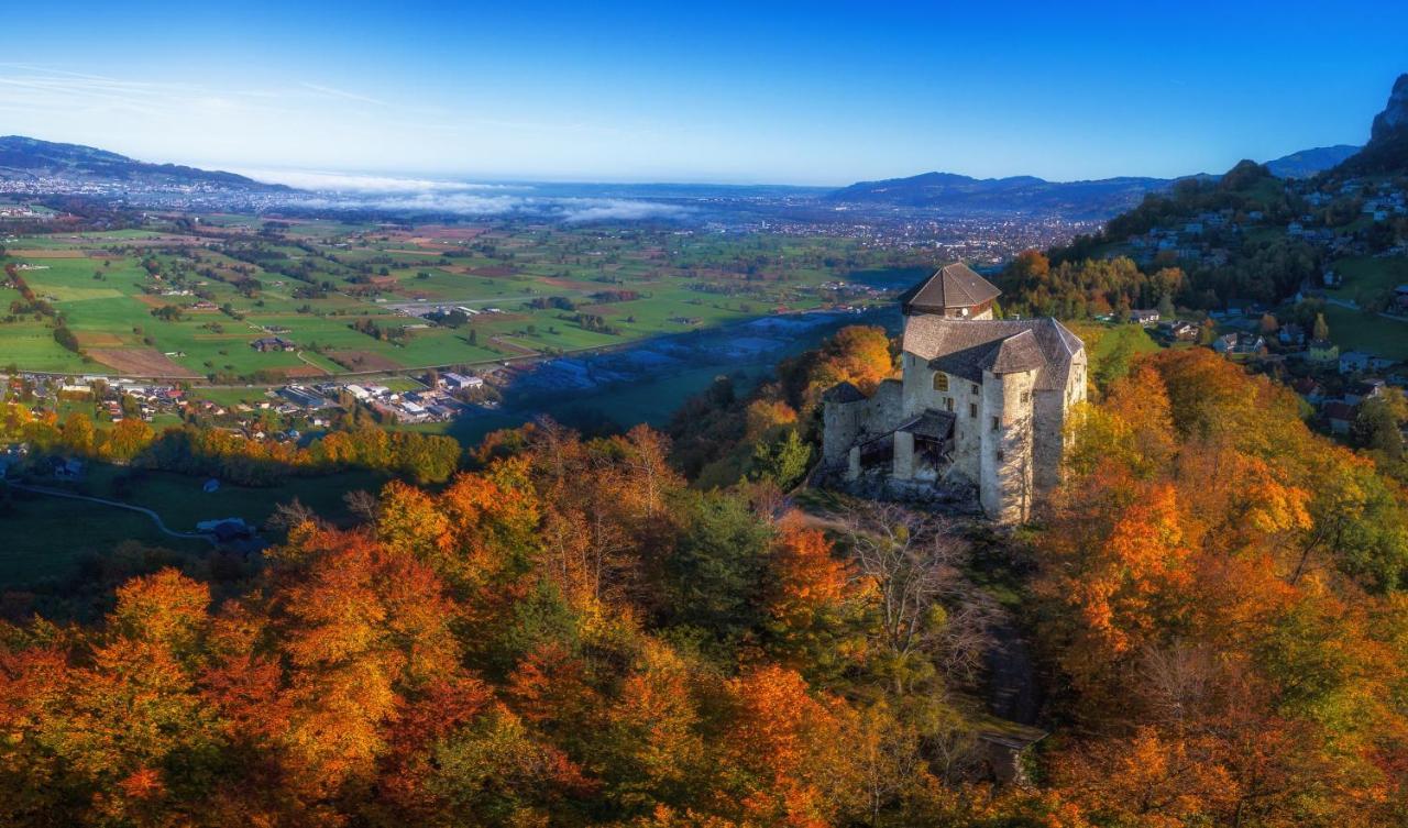 Landgasthof Hirschen Хоэнемс Экстерьер фото