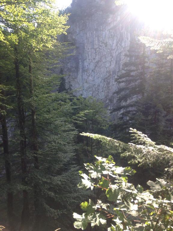 Landgasthof Hirschen Хоэнемс Экстерьер фото