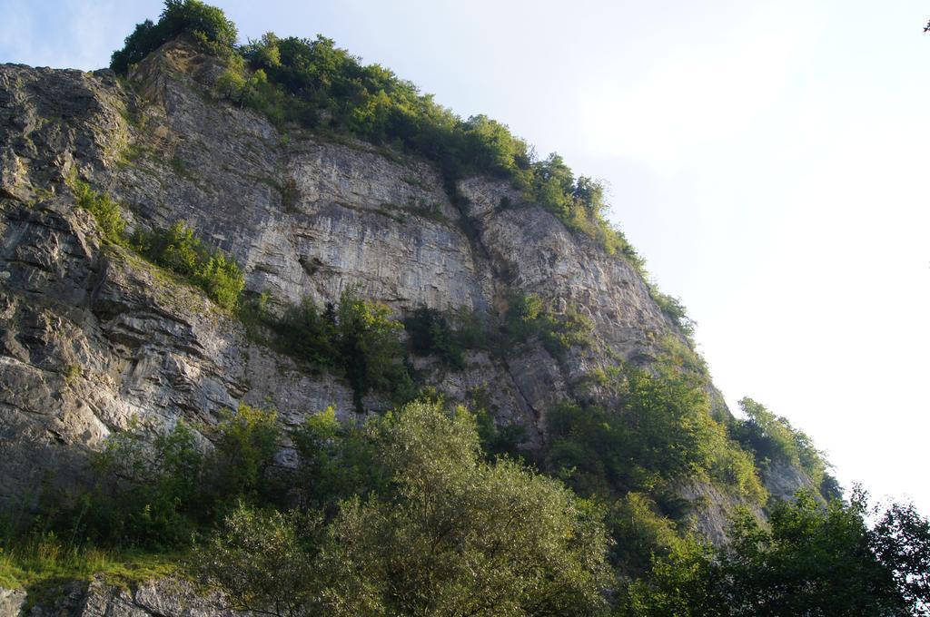 Landgasthof Hirschen Хоэнемс Экстерьер фото